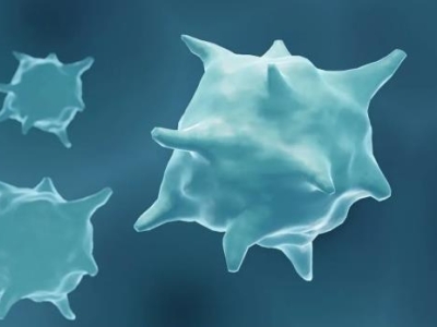 喜報 | 達博生物全資子公司泰禾生物“注射用重組改構人腫瘤壞死因子”獲臨床試驗默示許可