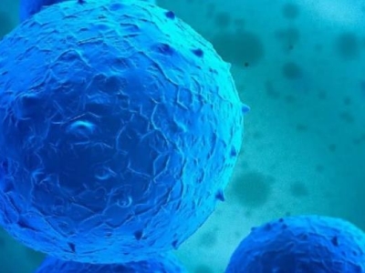 再傳喜訊！達博生物“人臍帶間充質(zhì)干細胞注射液”獲臨床試驗默示許可