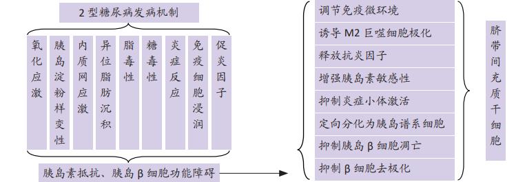 人臍帶間充質(zhì)干細(xì)胞(E10I)注射液