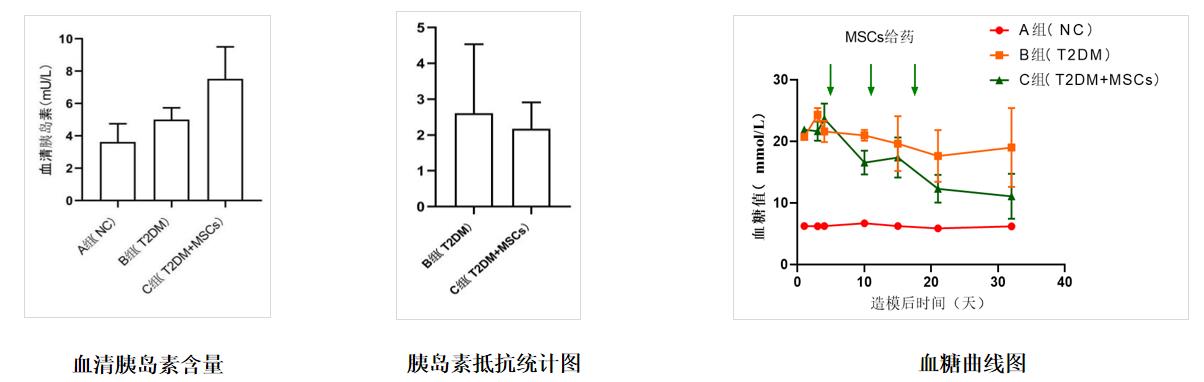 臨床藥效學(xué)研究